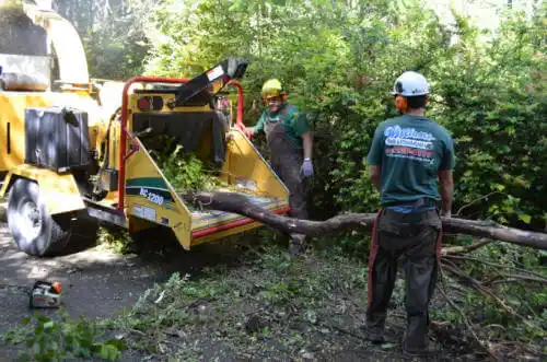 tree services Lockhart